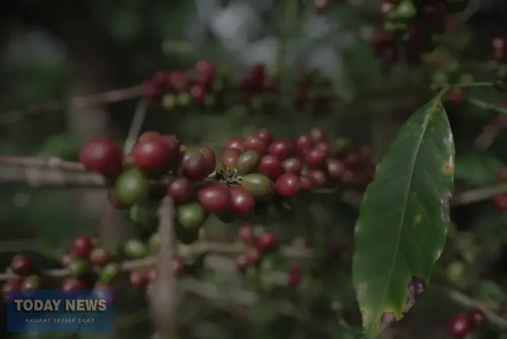 Kementan Percepat Hilirisasi Perkebunan