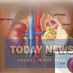 InShot_20260308_101115806