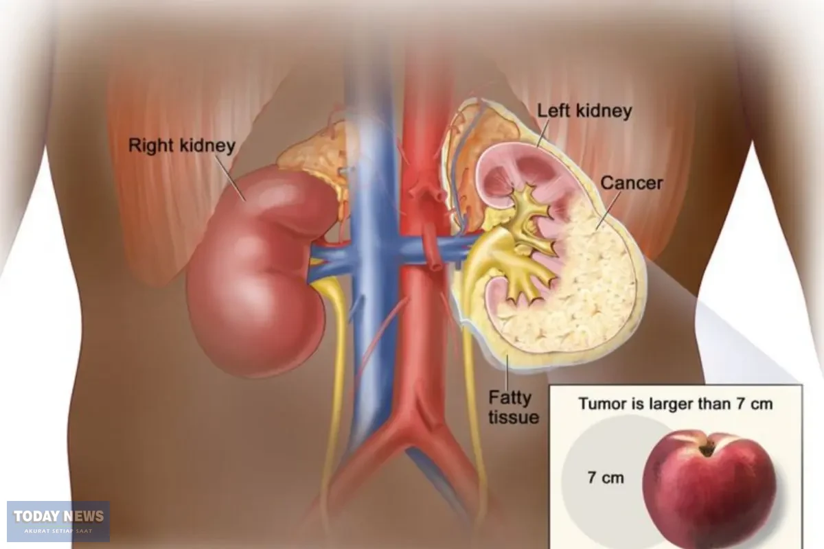 InShot_20260308_101115806