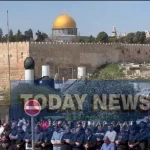 Screenshot_20260320_181427_X