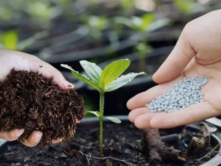 WhatsApp-Image-2022-06-17-at-09.14.31