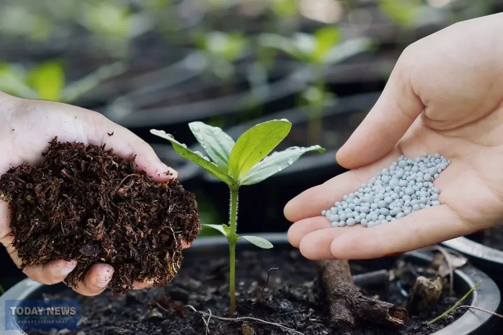 WhatsApp-Image-2022-06-17-at-09.14.31