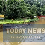 Intensitas Hujan Tinggi Disertai Angin Kencang, BMKG Ingatkan Risiko Banjir dan Pohon Tumbang