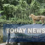 Buntut Matinya Dua Bayi Harimau, Pemkot Evaluasi Tata Kelola Kebun Binatang Bandung