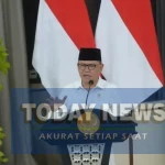 WhatsApp Image 2026-03-31 at 19.59.51