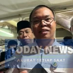 1774487450926_upload_138576c8d885ea6967fe08a83ca73b7a