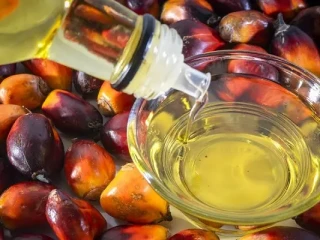 Kenaikan harga minyak goreng berpotensi untuk memicu inflasi, meningkatkan biaya hidup rumah tangga, serta membebani UMKM kuliner