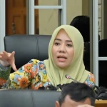 DPR Minta Pemerintah Waspada Meski Stok Beras Nasional Melimpah