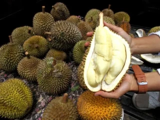 CjkinzN000011_20260417_CBMFN0A002