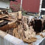 FB_IMG_1776351019074