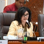 felly estelita merpati nusantara airline1