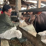 Berkurban Sehat dan Halal, Pemkot Bandung Siapkan Sistem