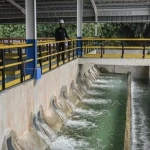 Cakupan Air Bersih Jakarta Capai 81 Persen, Target 100 Persen 2029