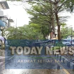 Hujan Deras, Tim Gabungan Tangani 31 Pohon Tumbang dan Tanggul Jebol