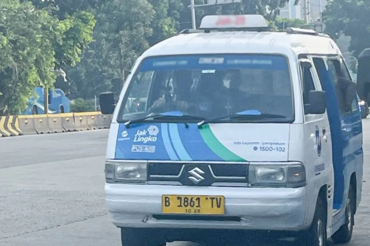 1000272247.jpg