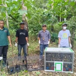 BKSDA Bengkulu Gagalkan Penyelundupan 203 Ekor Burung di Tol Trans Sumatera