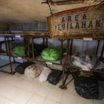 Dari Pemilahan Hingga Budidaya Maggot, PVJ Bandung Olah 3,5 Ton Sampah per Hari