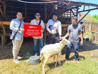 Hari Raya Idul Adha, IWO Bagikan Paket Daging Kurban