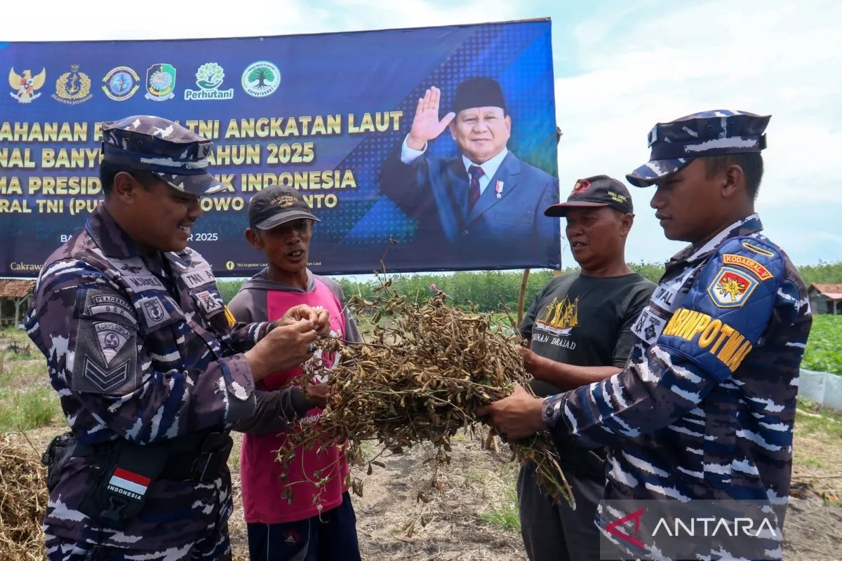 tni-al-kembangkan-varietas-kedelai-garuda-merah-putih-2655817.jpg
