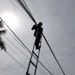 Penertiban Kabel Dimulai, Wali Kota Pastikan Tanpa Blackout Internet