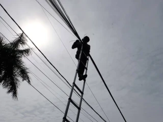 WhatsApp Image 2026-06-01 at 15.46.55