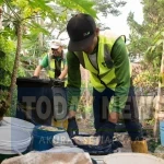 Dari Dapur ke Kandang, Inovasi Dosen ITB Sulap Sampah Organik Jadi Telur dan Daging