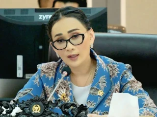 amel-stok