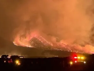 2128714715