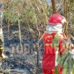 Lahan Gambut Masih Berasap Meski Api Sudah Padam