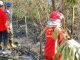 Lahan Gambut Masih Berasap Meski Api Sudah Padam
