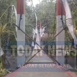 jembatan-gantung-pongpet-di-pangandaran-jabar-ambruk-saat-dilintasi-rombongan-bupati-pangandaran-citra-pitriyami-tni-ad-menjel-1788152615046_169