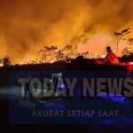 karhutla-di-kaltim-1787267934039_169
