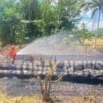 Karhutla Kepung Kalimantan, Asap Ganggu Sekolah hingga Penerbangan