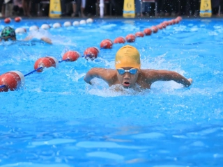 900 Perenang Pemula Bersaing di Kejuaraan Renang Pelajar Jakarta Selatan 2026