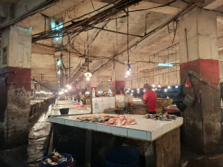 IMG-20261001-WA0044
