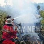 Hotspot Karhutla Turun, Sumsel Jadi Provinsi Prioritas dengan Titik Panas Tertinggi